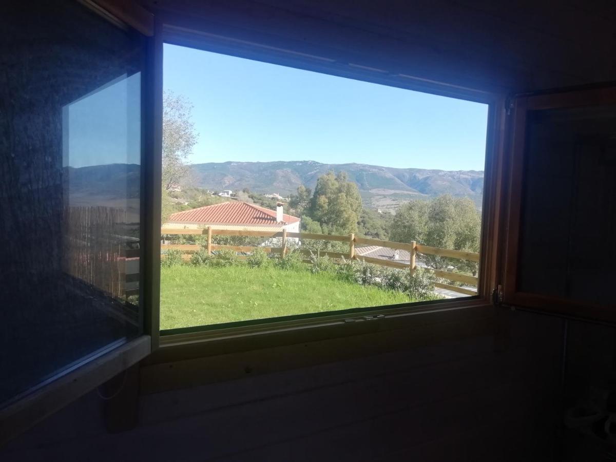 Woodhouse Apartment Tarifa Luaran gambar